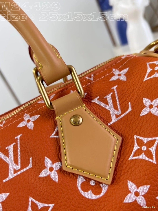 Louis Vuitton SPEEDY 25 0717